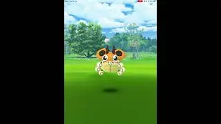 Ledyba shiny catch in Pokemon go #shorts