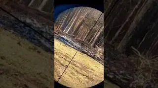 savage axis 308