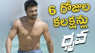 Dhruva Movie 6Days Box Office Collections Report ||  Ramcharan , Rakul Preet Singh