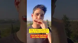 Harmonica: 2 first easy songs everyone can play TODAY