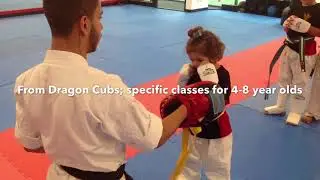 Karate & Martial Art Classes in Melbourne - The Winged Dragon