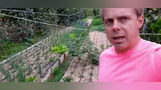 Agricultura sem segredo e sem embroma&ccedil;&atilde;o, sistema semi hidroponico, hidroponia caseira, alimentos.