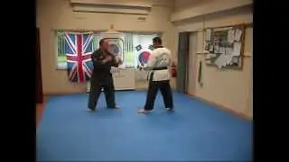 Cheongye Kwan Techniques