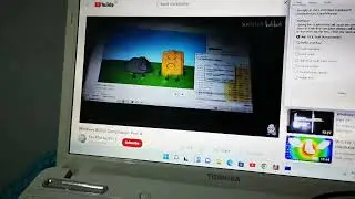 Woody Screaming Has Bsod Has Bsod