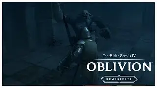 The Elder Scrolls IV Oblivion Remastered 🎮 20 Blut der Daedra
