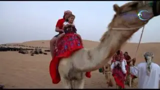 Tour Operators In Dubai | Desert Safari | Desert Camps | Tour Packages from Dubai Star World Tours