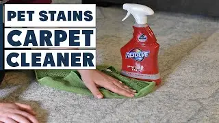 Top 10 Best Carpet Cleaner for Pet Stains in 2025 | Reviews, Prices & Where to Buy