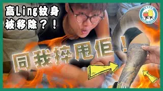 【捽甩佢！】幫高Ling洗走紋身😰「高江湖」可否變回「高江凌」？👶🏻｜小薯茄日常 Pomato Daily