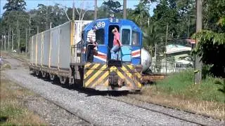 Tren del INCOFER con Contenedores provenientes de CODELA a Limón