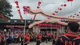 2025 马来西亚 柔佛古庙游神 Johor Chingay ~ GuMiao dragon dance 柔佛古庙舞龍队 舞龍表演 参拜五尊神明 @ 行宫