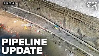 BP Olympic Pipeline leak discovered in gasoline line, not line carrying SEA jet fuel