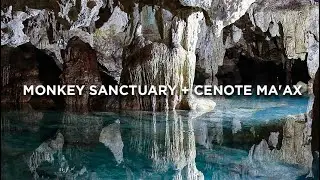 MONKEY SANCTUARY + CENOTE MA'AX 🩵