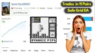 📊 Dynamic Pips EA 💸 | Best Averaging Forex Robot in 2025 🚀 | Trades 11 Pairs 🔥
