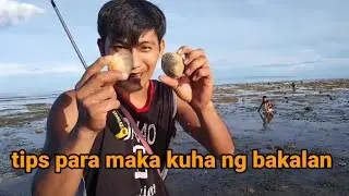 CATCHING BAKALAN SHELL vlog6