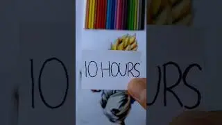 10 sec Vs. 10 Min Vs. 10 Hours! Drawing #shorts