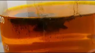 🧪🟡 Gold Precipitation Reaction! Sodium Metabisulfite Meets Aqua Regia Rich in Gold