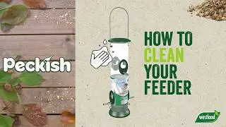 How to clean a bird feeder