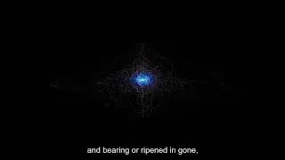 Reappraised