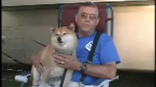 RVing with Dogs