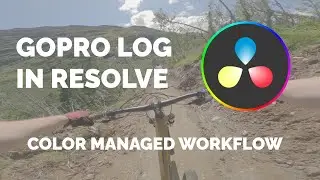 How To use Davinci Wide Gamut with Gopro Cameras