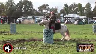 Campereando Tv prog 33-3ra Fiesta Del Campo-Laprida-Bs As Octubre 2022 Bq-2