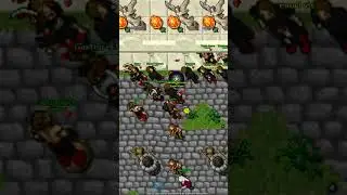 CHEESE MASTER MS240 HACKED AND BACK TO ROOK (Mythera 2008) #oldtibia