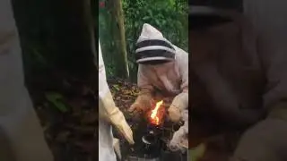 Chef Jason - Fighting Off African Killer Bees For Honey 🇹🇹🐝