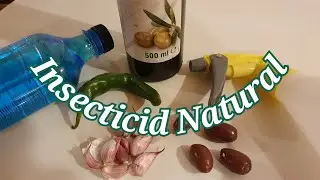 Insecticid Natural .