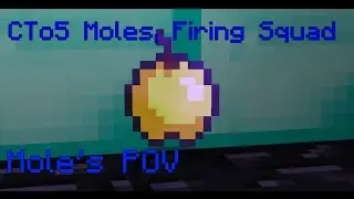 UHC: CTo5 Moles, Firing Squad (Mole's POV)