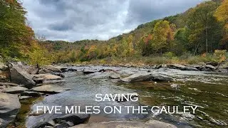 Saving Five Miles on the Gauley River