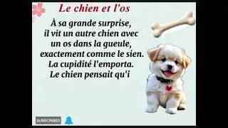 Le chien et l'os. The dog and the bone #france 