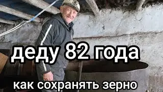 Как сохранить зерно
