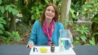 Let's Talk Health: Detox Lemonade | Hippocrates Health Institute
