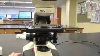 Using a Student Microscope