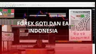 Forex Trading FOR TBST Tehnik 100% Profit_ Trading Real