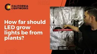 How far should LED grow lights be from plants?