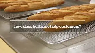 Working with Bellarise | Artime Group