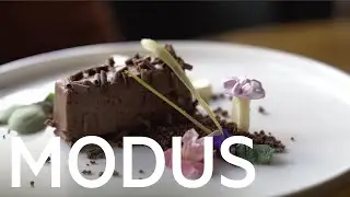 Foraging in Wye Dessert, New Flying Horse pub, Shepherd Neame | MODUS