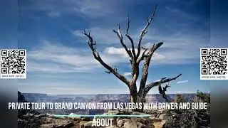 Private Tour to Grand Canyon from Las Vegas with Driver and Guide