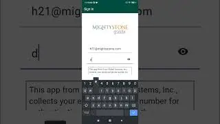MIGHTYSTONE GRANITE Shipper: How to trade both domestic and international?