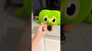 Viral Duo Owl Funny Chaos IRL 🦉 The Ultimate Laughter Test