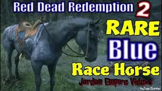 Red Dead Redemption 2 Rare Blue Race Horse Spawn Method With Location and How To Get Rare Horses