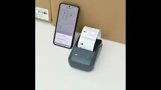 NIIMBOT B1 Thermal Logistics Label Printer, for Shipping Packages, Support Android, iPhone, Windows