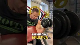 Тренировка бицепса #упражнения #тренировка  #спорт #спортивныедобавки