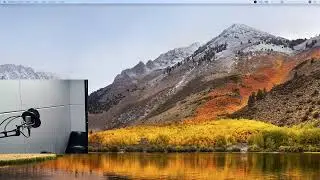 Alex Mishin Live Stream