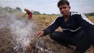 ನಾವು ಇವತ್ತು ಹೊಲದಲ್ಲಿ ವವಲಿ ತಿಂದೆವು🫣🫣🫣#viral #vlog #trending #video #fild 