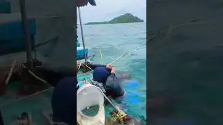 Seawalking pahawang lampung #seawalking #oncealifeecperience #traveltopahawang