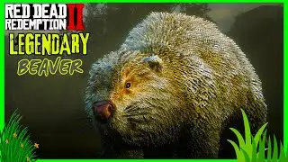 Legendary  Beaver    -  Red Dead Redemption 2  --    #reddeadredemption2