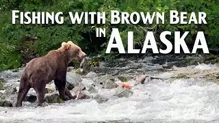 Alaska Adventure: Glaciers, Salmon and Brown Bear!