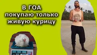 Покупаю только живую курятину в Гоа. Реальная жизнь в Гоа 2021